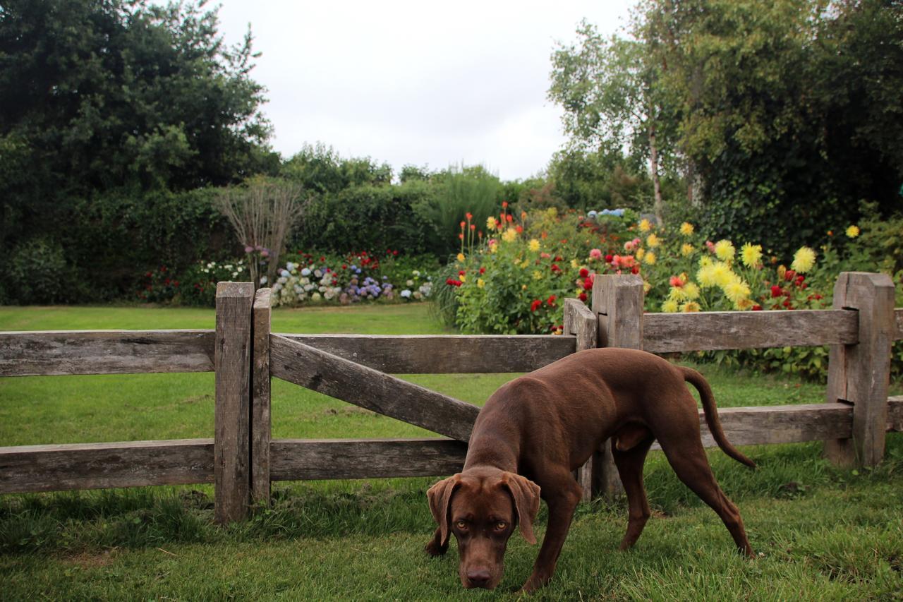 Lodge Lomas Del Frutillar